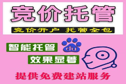 实战经验分享：SEO与SEM优化案例精选
